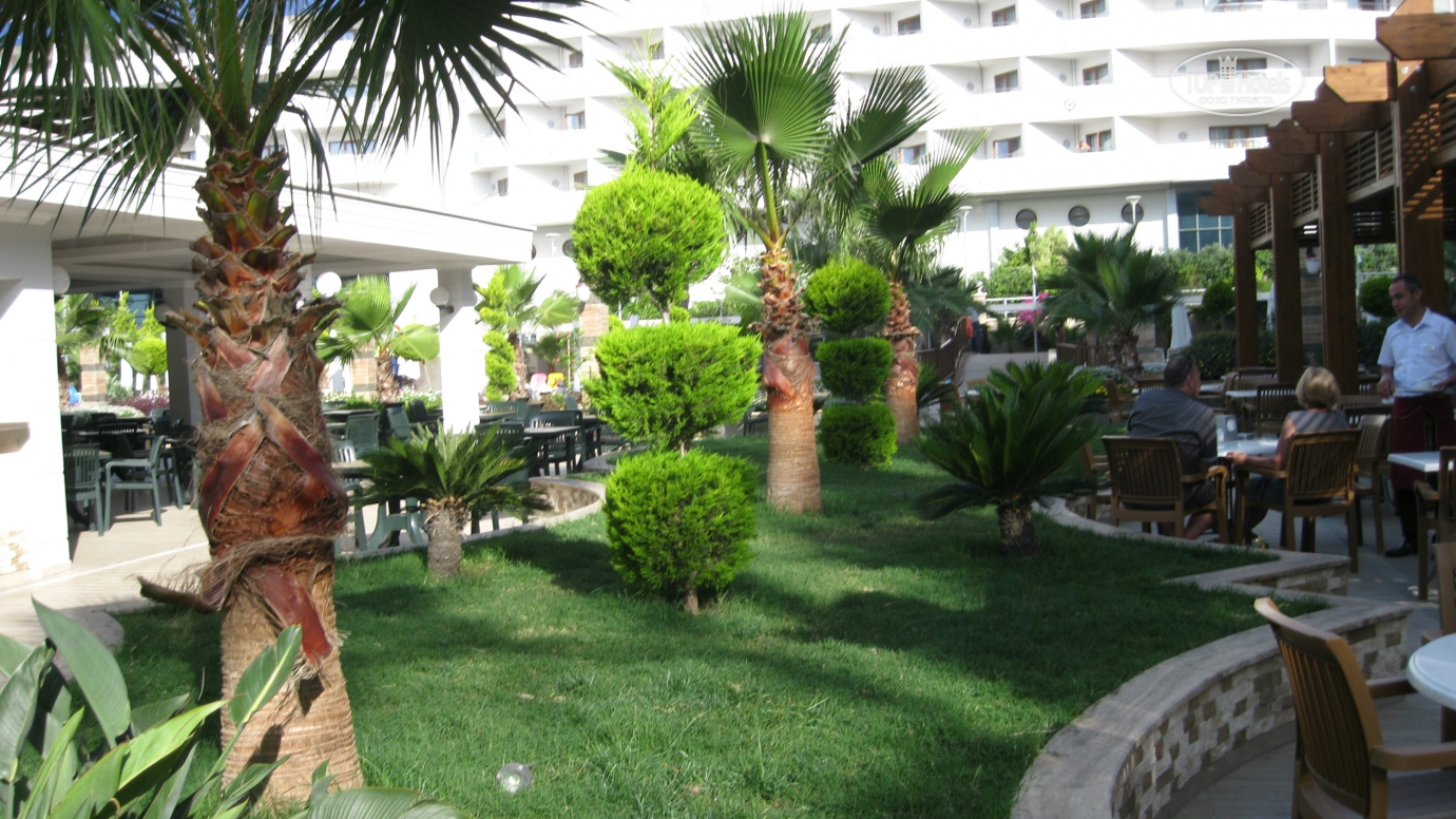 Dizalya palm garden фото